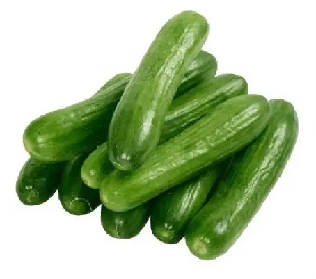 Cucumber