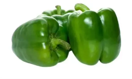 Green Pepper