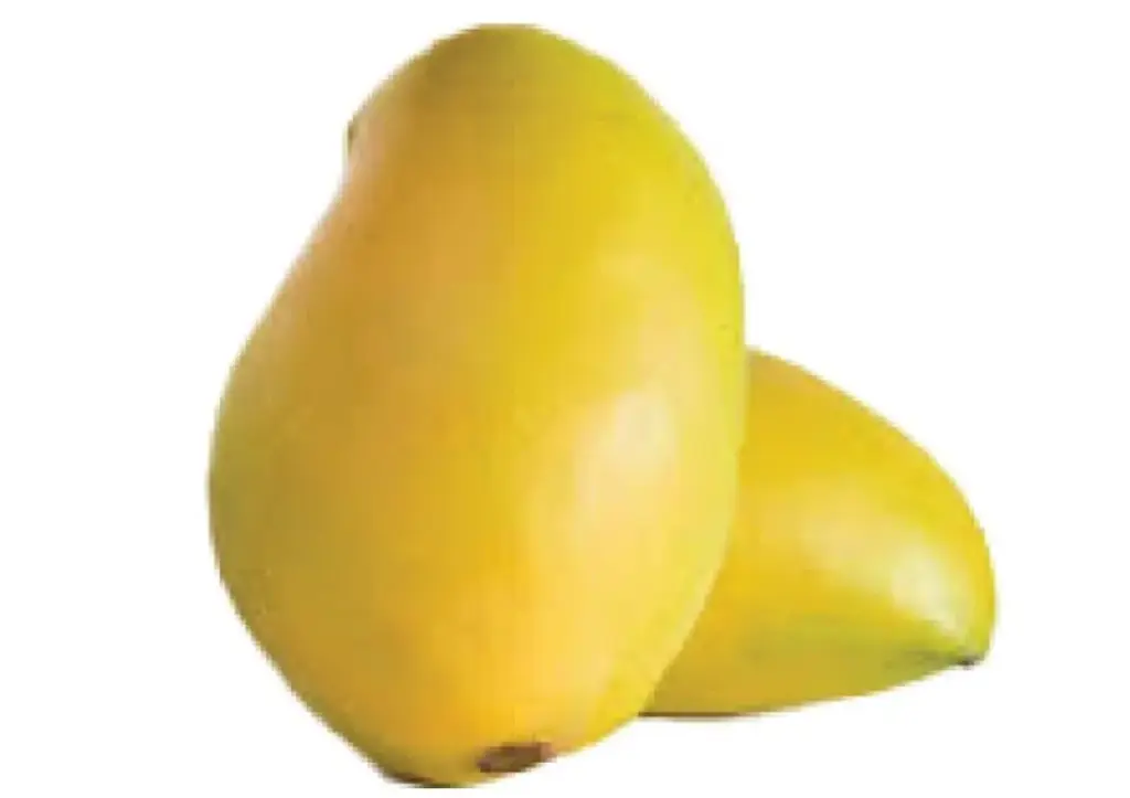 مانجو فص عويس