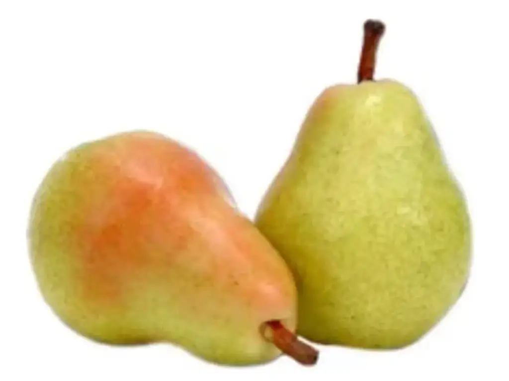 Pear