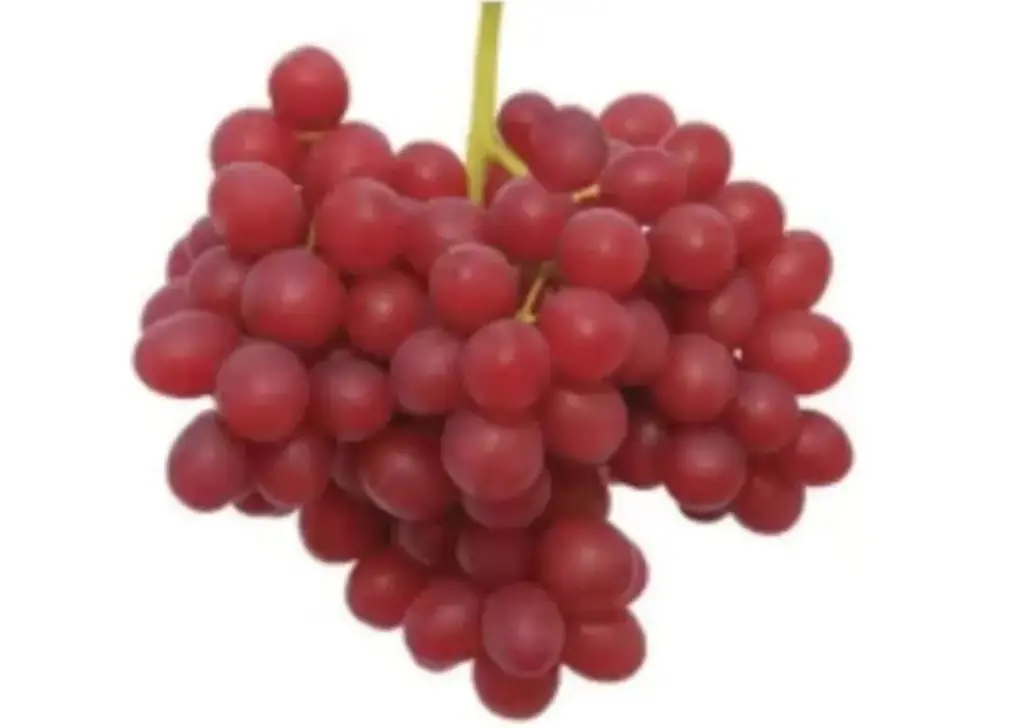 Red Grapes