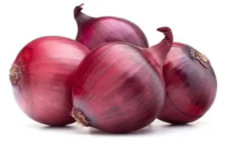 بصل احمر